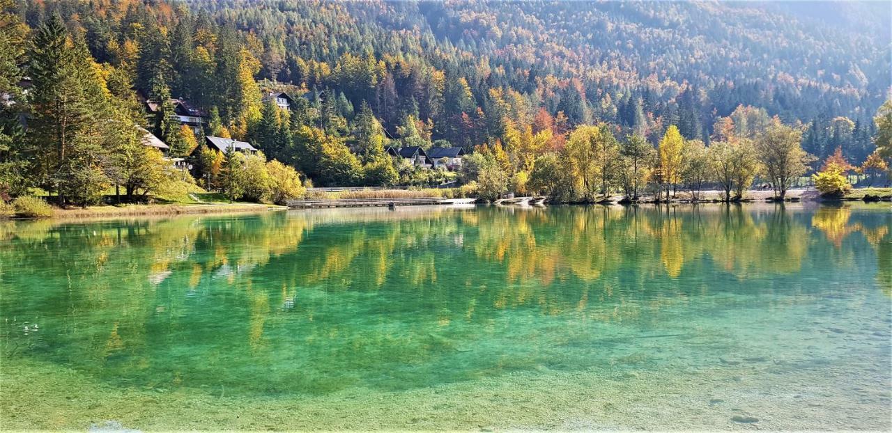 Apartmán Yellow Apartma Kranjska Gora Exteriér fotografie